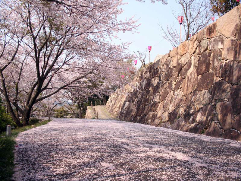 亀居公園