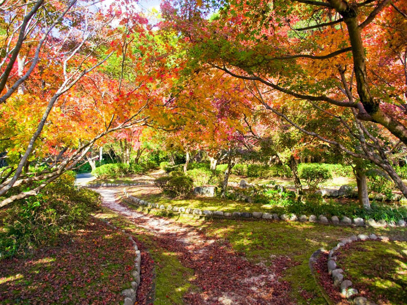 木戸公園