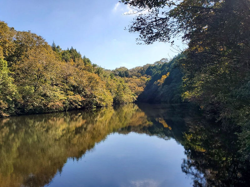 しらさぎ台自然公園