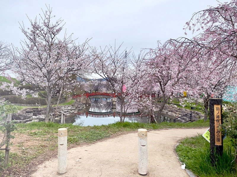 羽ノ浦桜づつみ公園