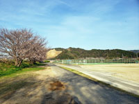 関川河川敷公園