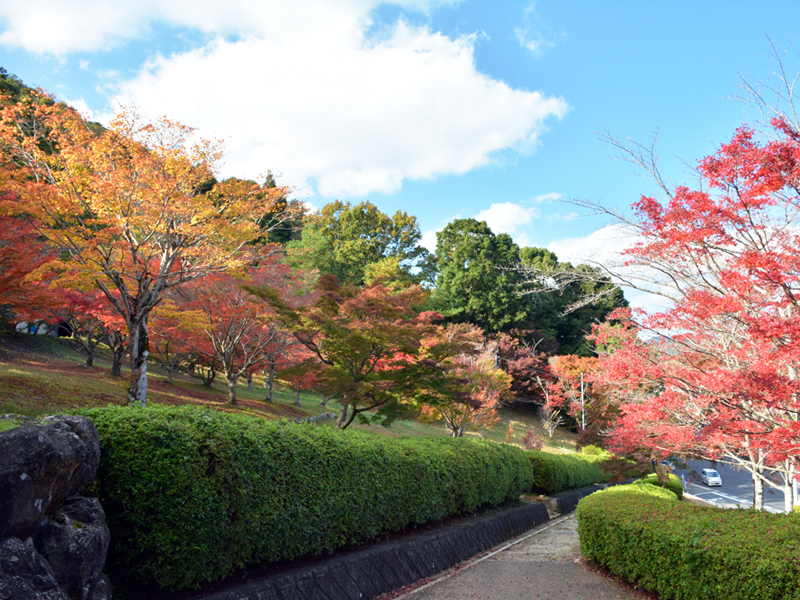 宇和運動公園