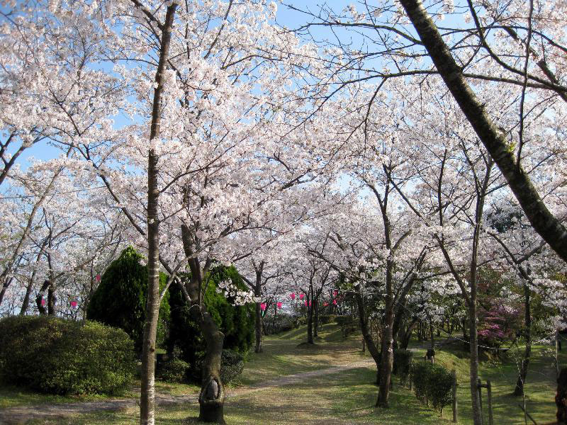 為松公園