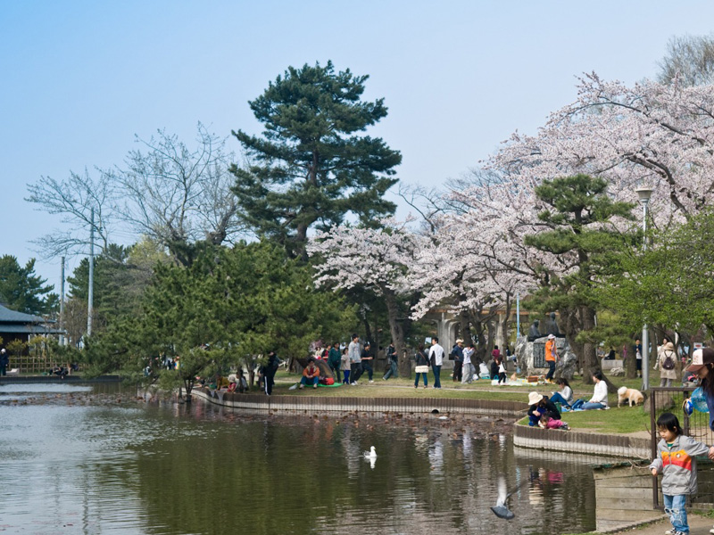 合浦公園