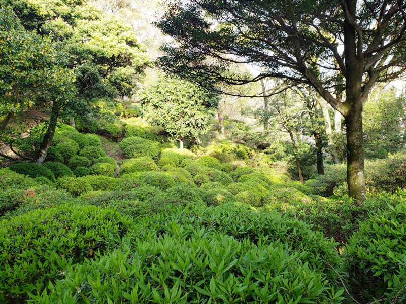 上山公園