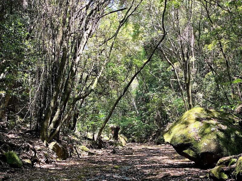 大見石畳公園