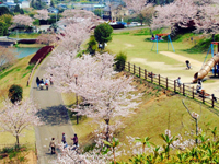 西の久保公園