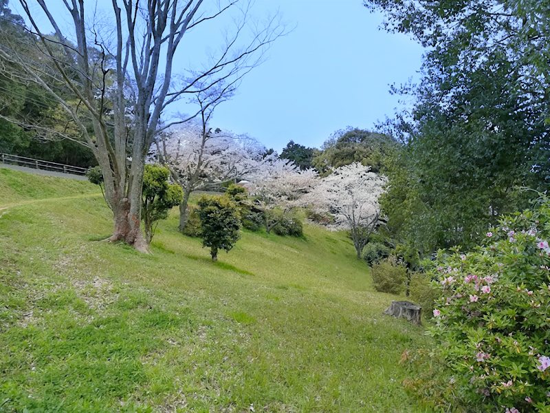 本渡モデル遊園地