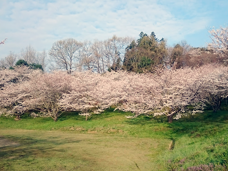 大原公園