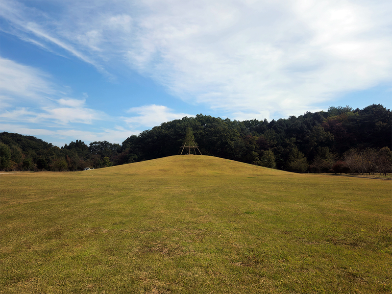 田来原美しい森づくり公園