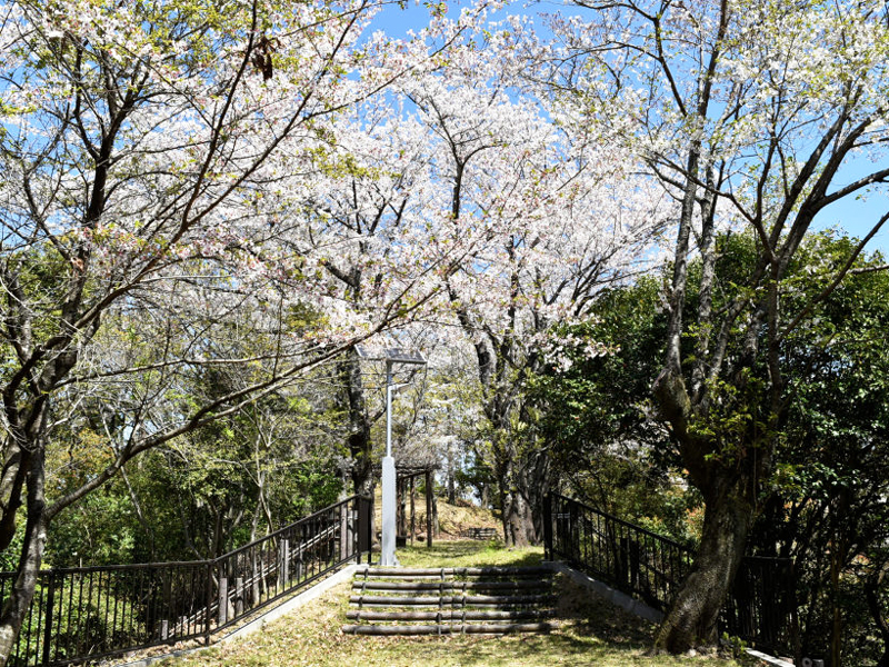 宮山公園