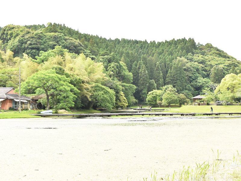 中山池公園