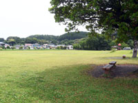 和田井堰公園