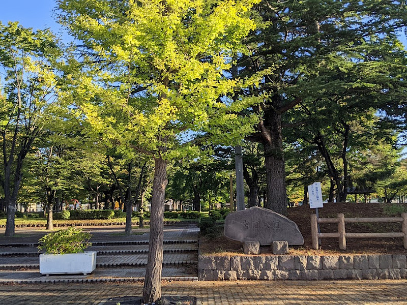 宮園公園