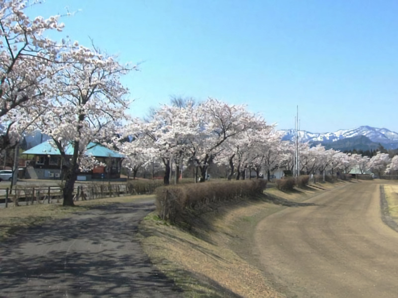 さゆり公園