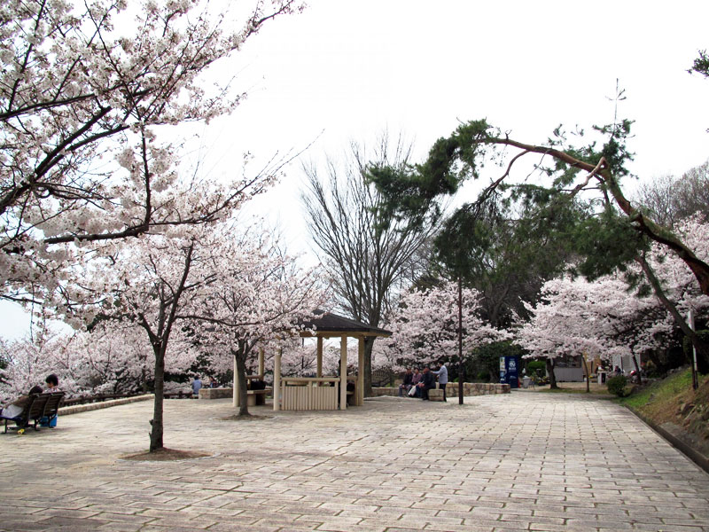 須磨浦公園