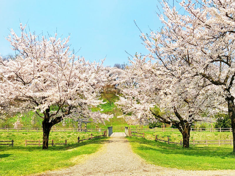 東公園