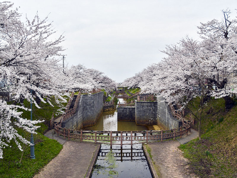 大川端帯状近隣公園