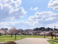 広面近隣公園