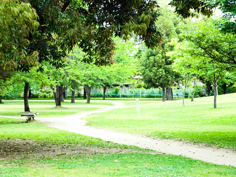 学びの森公園