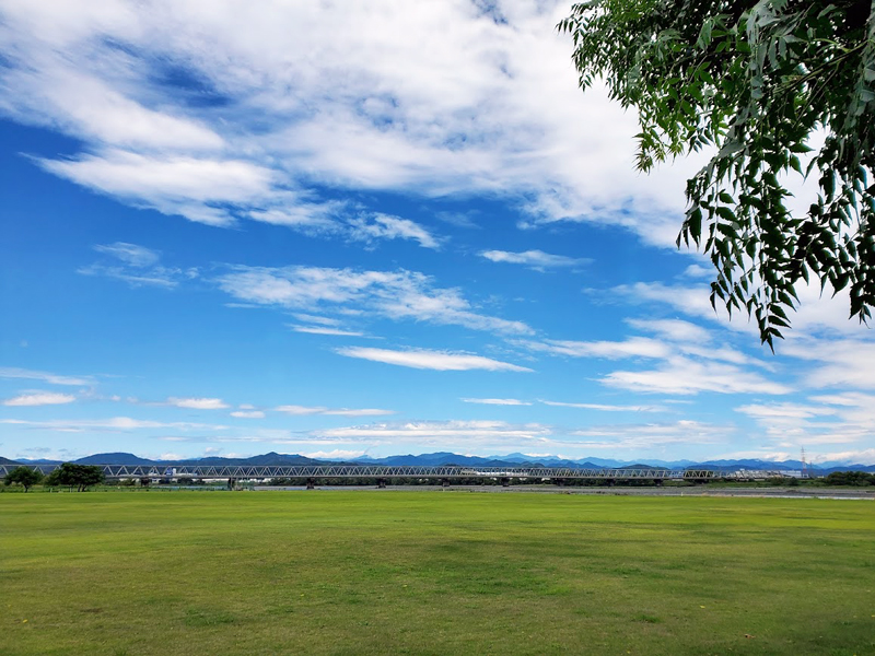 大井川さくら緑地