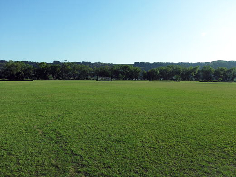 大井川緑地