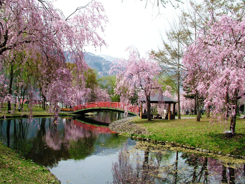 中央公園