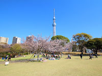 隅田公園