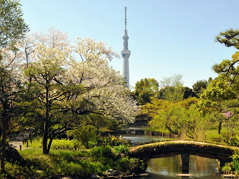 向島百花園