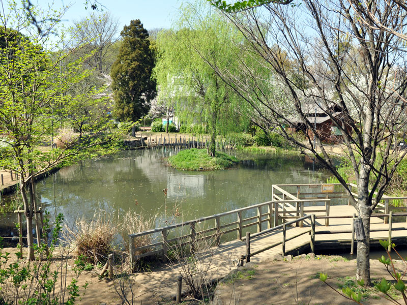 丸池公園