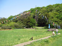 大沢の里公園