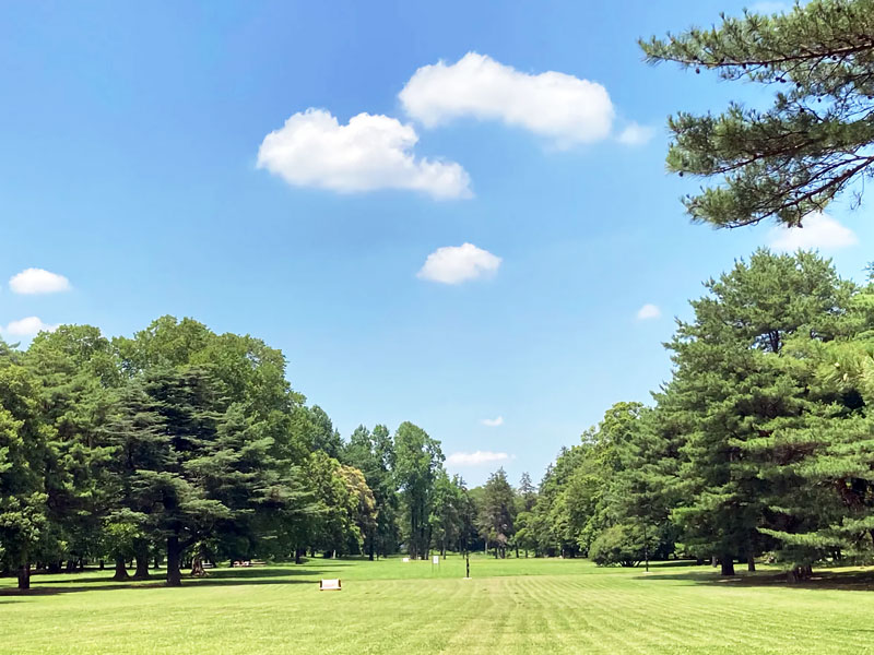 都立野川公園