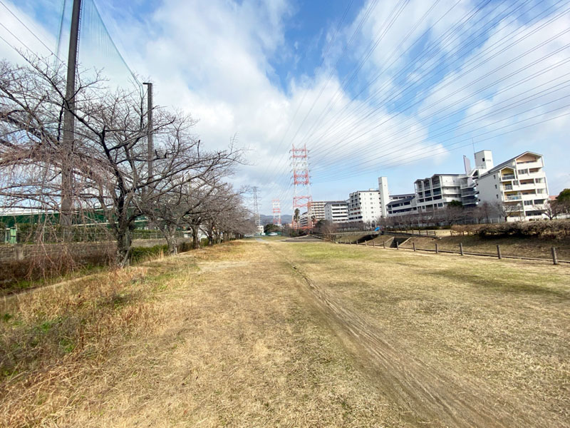 大堀川河川敷緑地