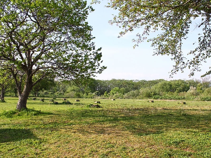 大曲の花火公園