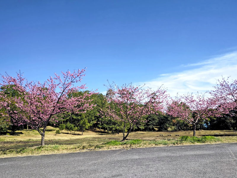 黒津崎国民休養地