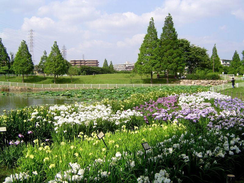 白鷺公園