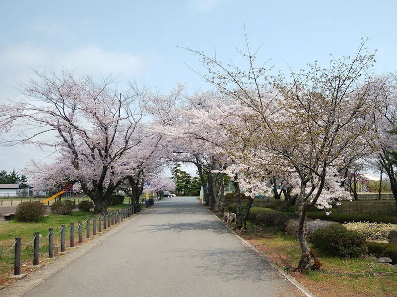 船川南近隣公園