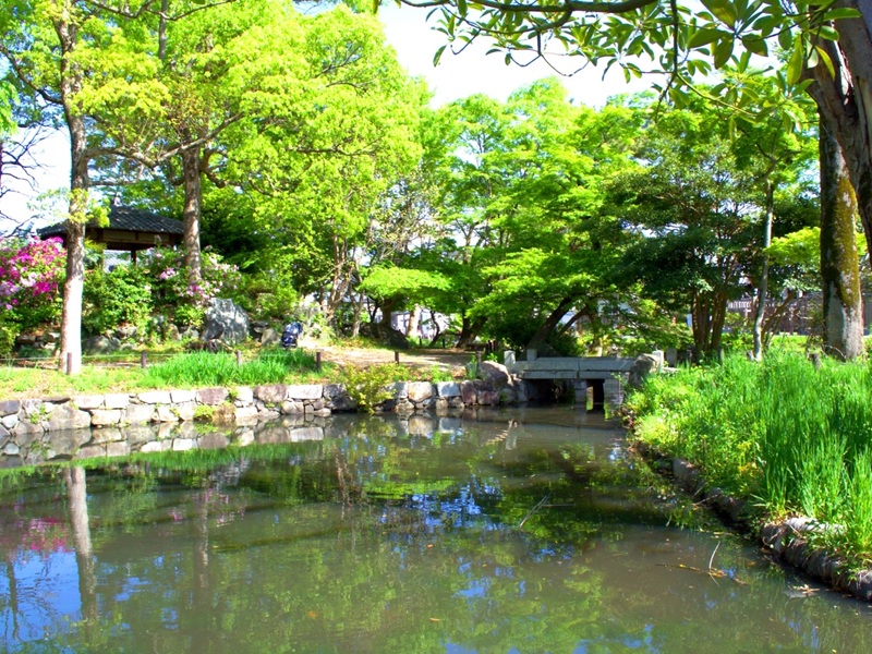 大通寺公園