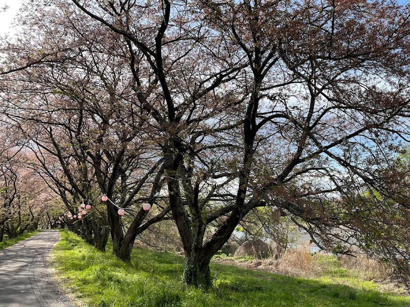 姉川緑地