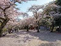 走井山公園