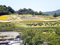 芦ヶ池農業公園