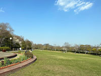 中央公園