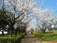 萩公園