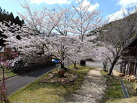 竹古場キルンの森公園