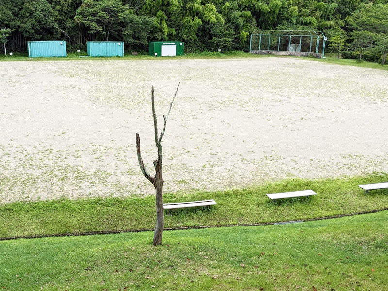 桜ハイツ中央公園