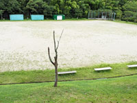 桜ハイツ中央公園