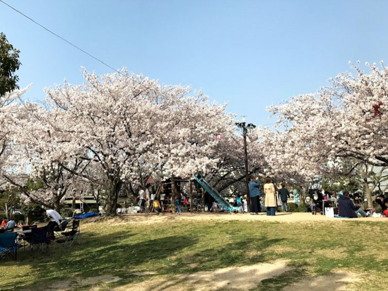 大元中央公園