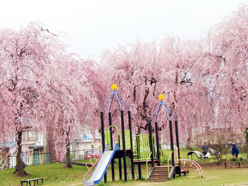 前九年公園