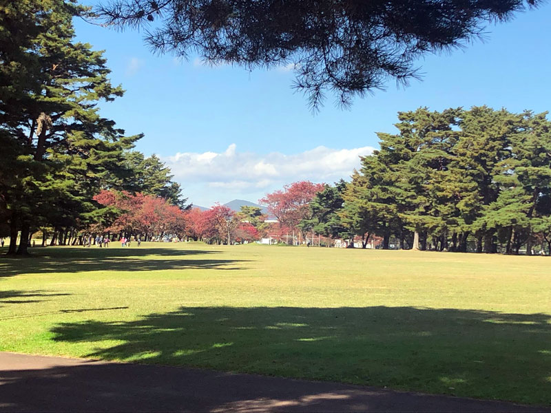 日居城野運動公園