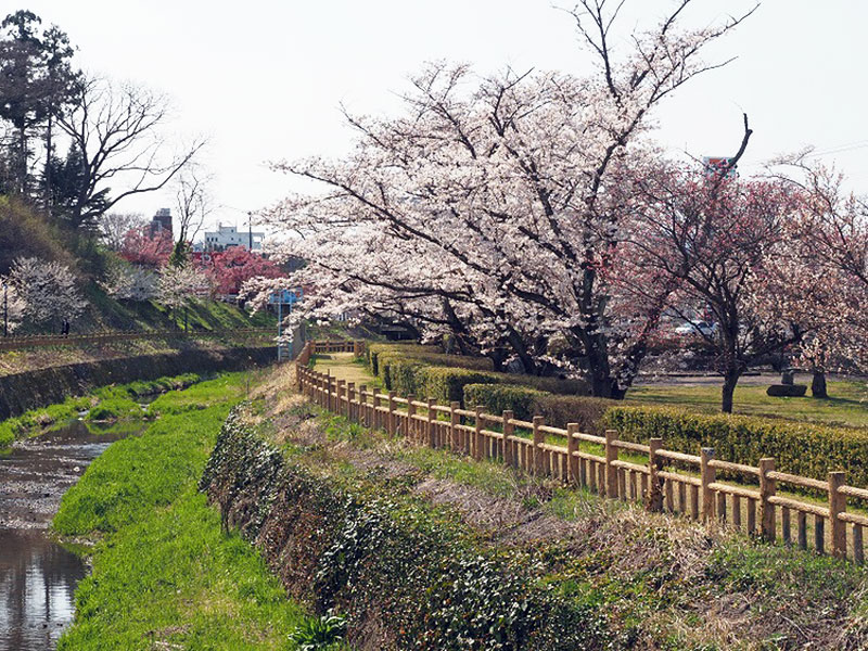 鳥谷ケ崎公園